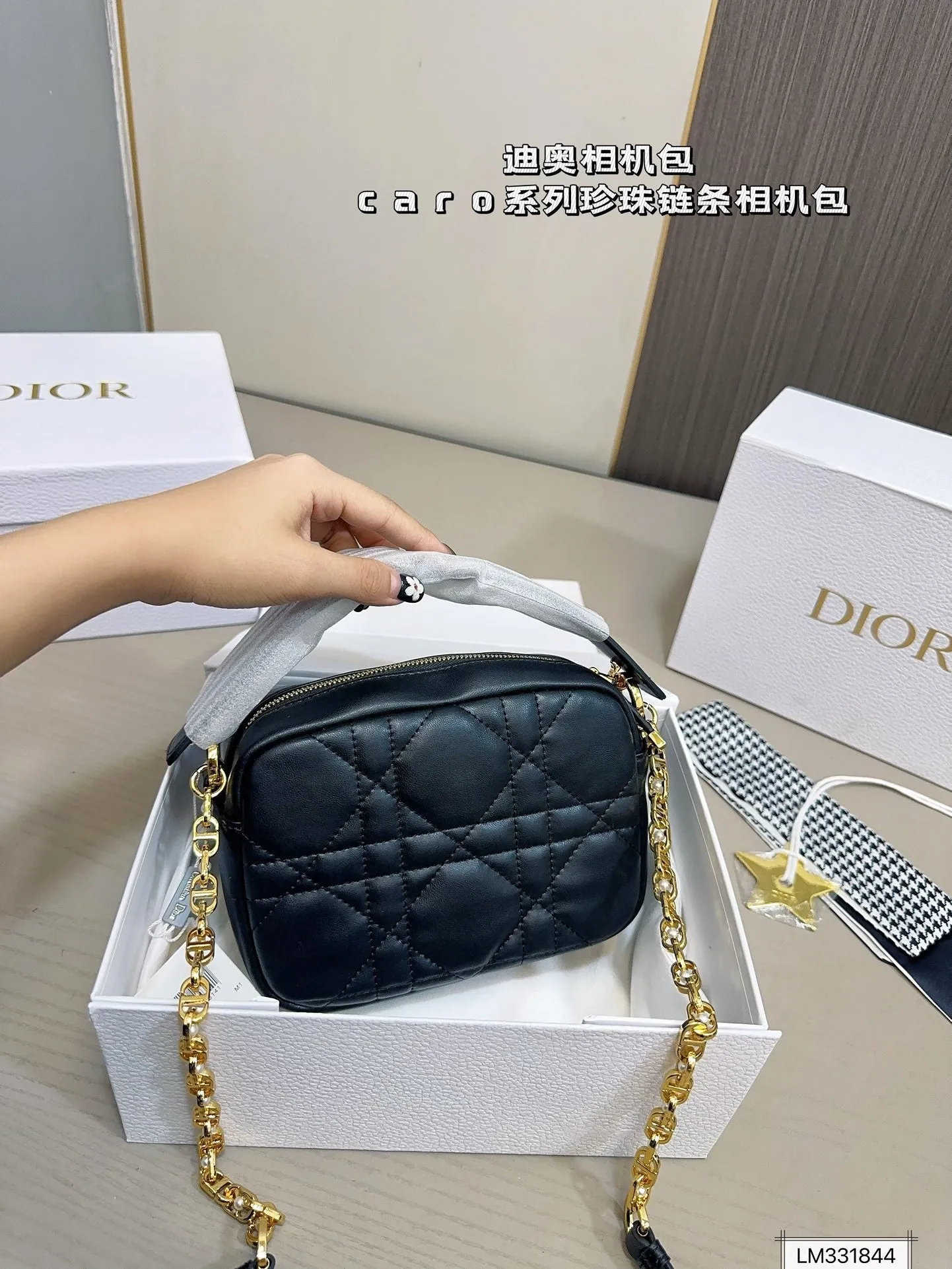 DR420 Small Dior Caro Top Handle Camera Bag / 7.5x5x2inches