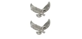 Flying Eagle Logo Set