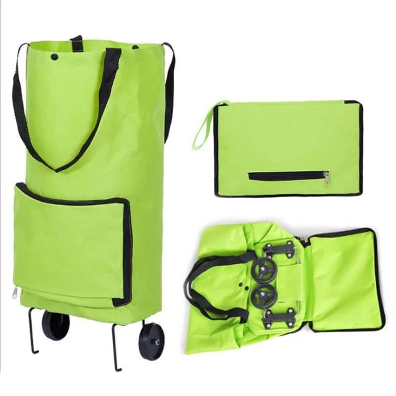 Foldable Reusable Earth Friendly Shopping Bag